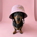 Dog wearing a pink bucket hat with 'Pink Stacho' text on a pink background